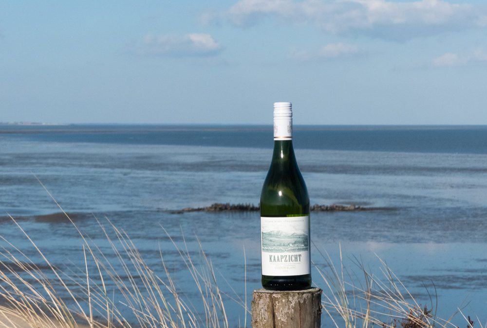 2016er Chenin Blanc – Kaapzicht Wine Estate