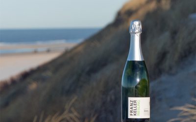 2011 Franz Keller RIESLING Sect brut