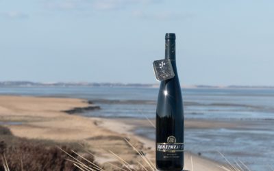 2013er Geheimrat J Riesling Spätlese
