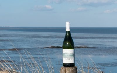 2016er Chenin Blanc – Kaapzicht Wine Estate