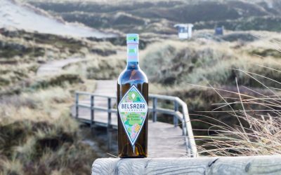 BELSAZAR Edition Riesling Dr. Loosen